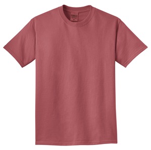 PC099